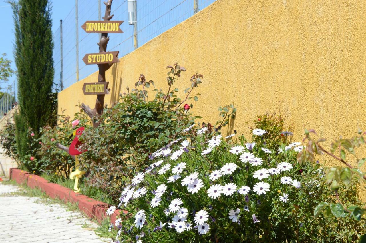 Acqui Villa أرغوستولي المظهر الخارجي الصورة